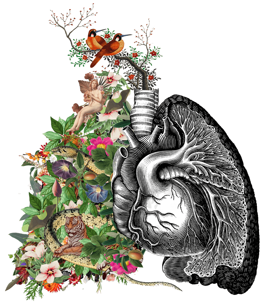 Lungs-Collage_06-Green_flowers-small